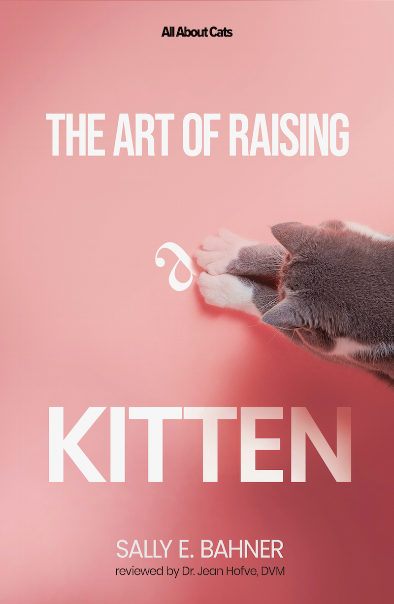 Art of Raising a Kitten