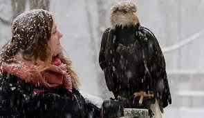 Learn about Bald Eagles