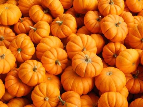 <a href="https://www.freepik.com/search?format=search&last_filter=query&last_value=pumpkin+craft&query=pumpkin+craft">Image by wirestock on Freepik</a>