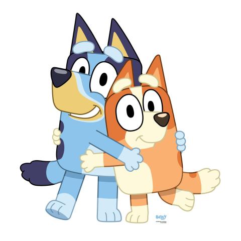 Bluey and Bingo