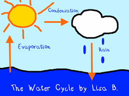 water cycle