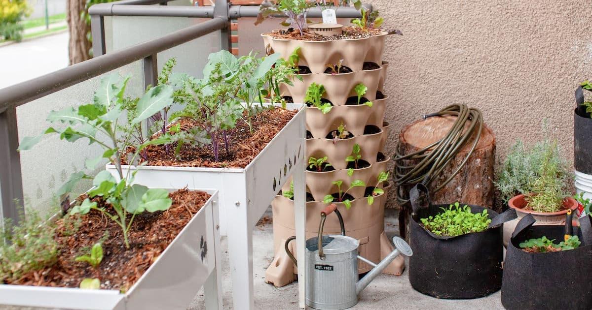 https://thereidhomestead.com/wp-content/uploads/2022/03/FB-vegetables-for-container-gardening.jpg