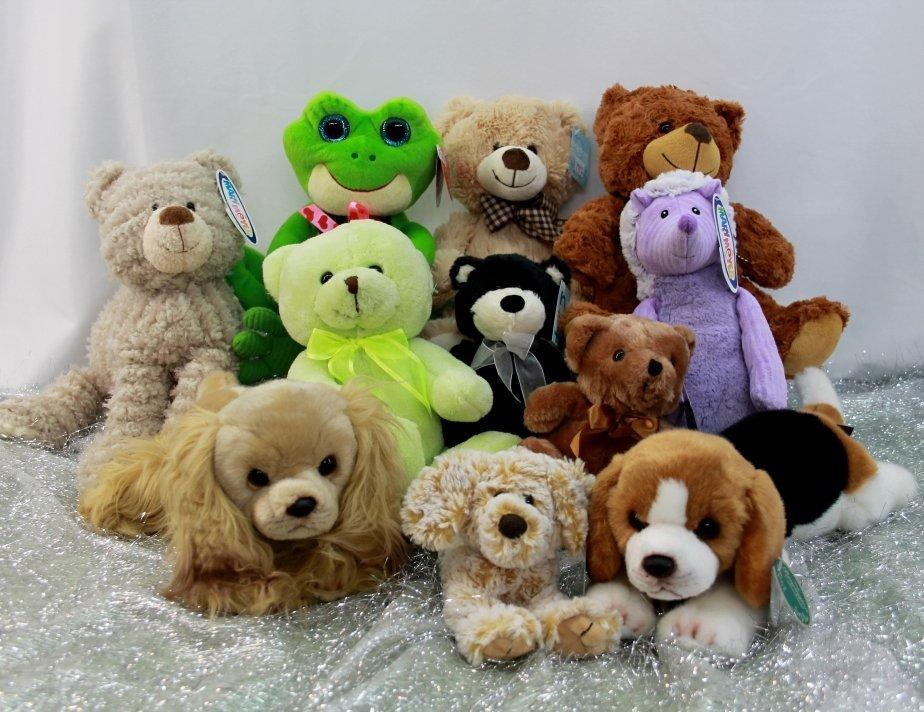 Stuffed Animal Sleepover