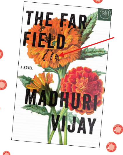 Book cover of the Far Field by 
