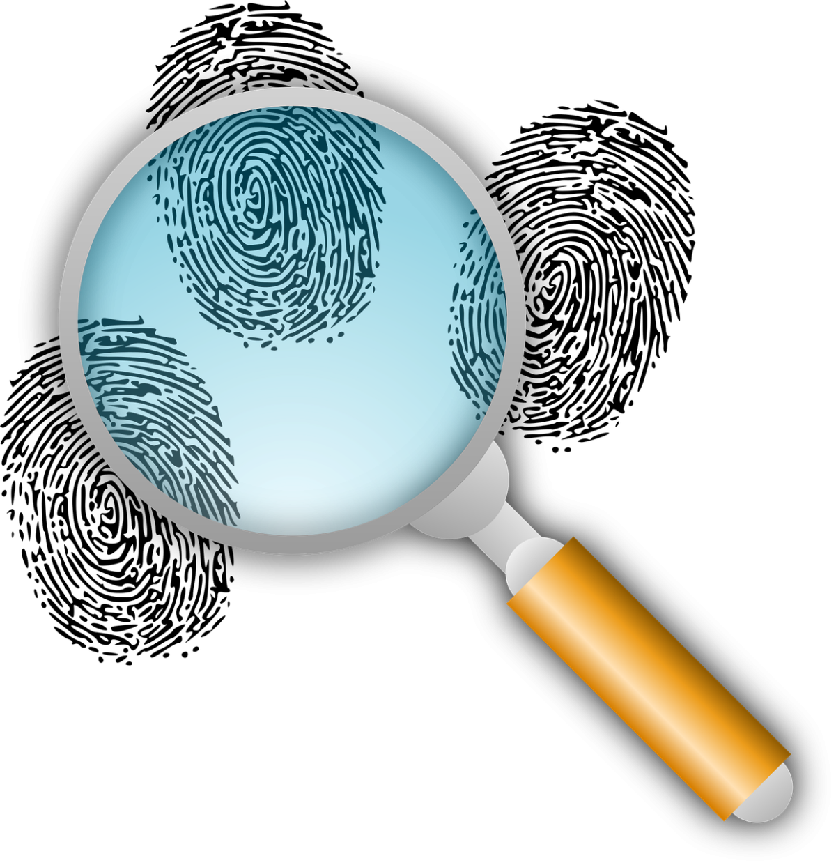 https://pixabay.com/vectors/detective-clues-police-work-find-151275/